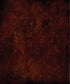 Red Damask Backdrop for Photography