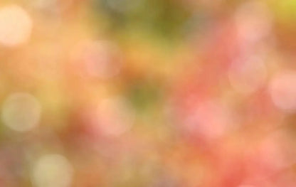 Boquet 16X10 Ultracloth ( 192 X 120 Inch ) Backdrop