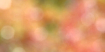 Boquet 20X10 Ultracloth ( 240 X 120 Inch ) Backdrop