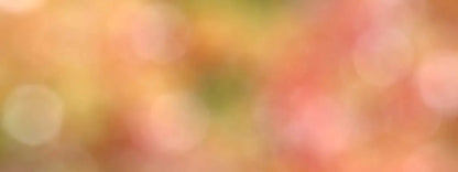 Boquet 20X8 Ultracloth ( 240 X 96 Inch ) Backdrop
