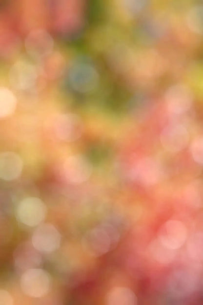 Boquet 5X8 Ultracloth ( 60 X 96 Inch ) Backdrop
