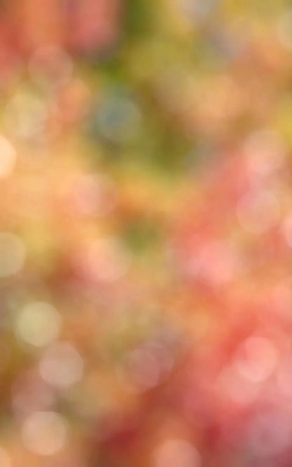 Boquet 9X14 Ultracloth ( 108 X 168 Inch ) Backdrop