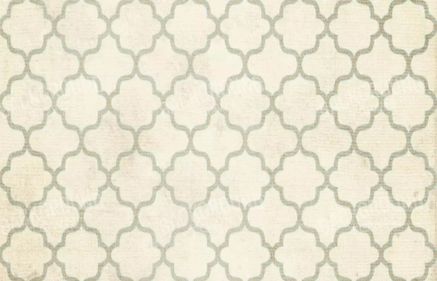 Boutique 12X8 Ultracloth ( 144 X 96 Inch ) Backdrop