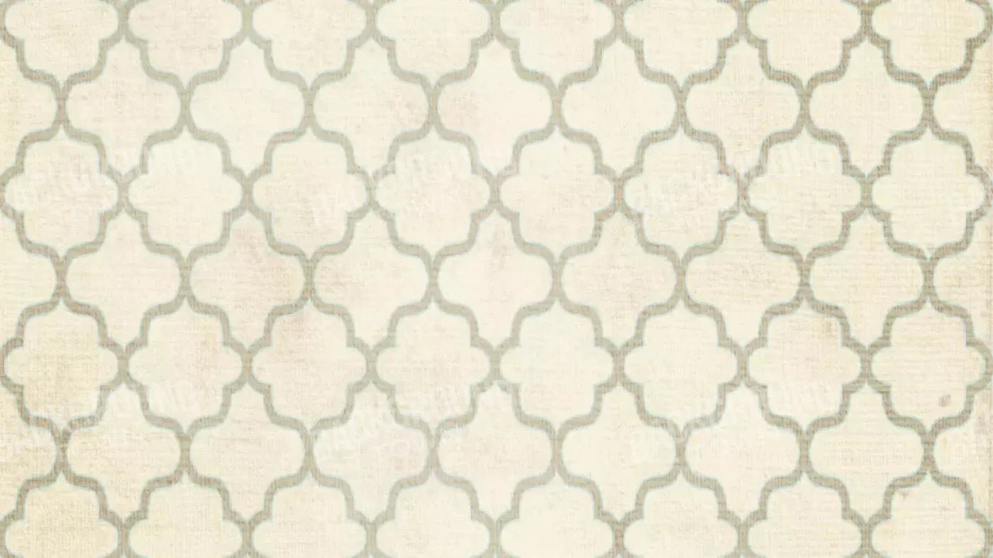 Boutique 14X8 Ultracloth ( 168 X 96 Inch ) Backdrop