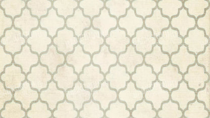 Boutique 14X8 Ultracloth ( 168 X 96 Inch ) Backdrop