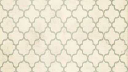 Boutique 14X8 Ultracloth ( 168 X 96 Inch ) Backdrop