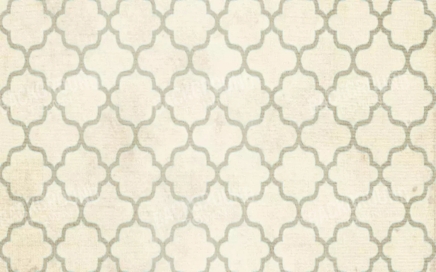 Boutique 14X9 Ultracloth ( 168 X 108 Inch ) Backdrop