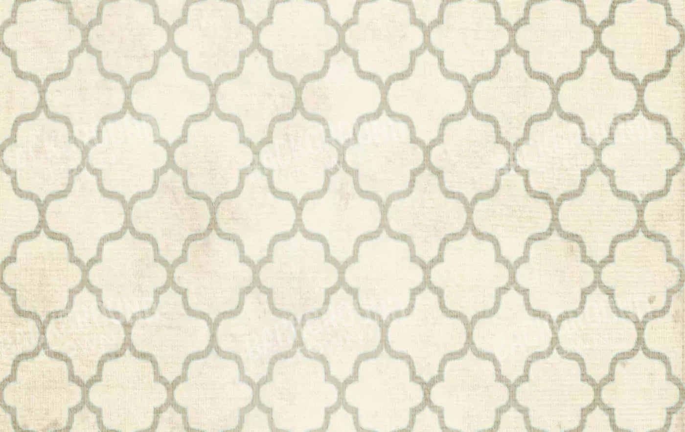 Boutique 16X10 Ultracloth ( 192 X 120 Inch ) Backdrop