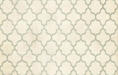 Boutique 16X10 Ultracloth ( 192 X 120 Inch ) Backdrop