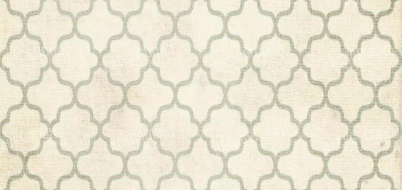 Boutique 16X8 Ultracloth ( 192 X 96 Inch ) Backdrop