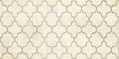 Boutique 20X10 Ultracloth ( 240 X 120 Inch ) Backdrop