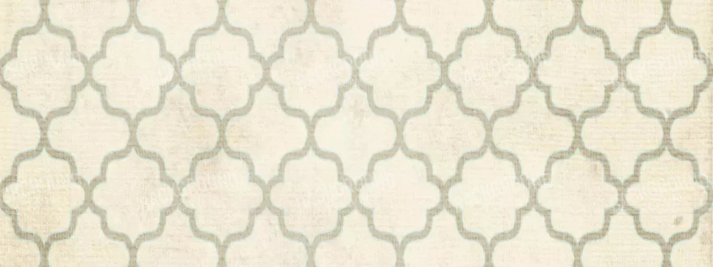 Boutique 20X8 Ultracloth ( 240 X 96 Inch ) Backdrop