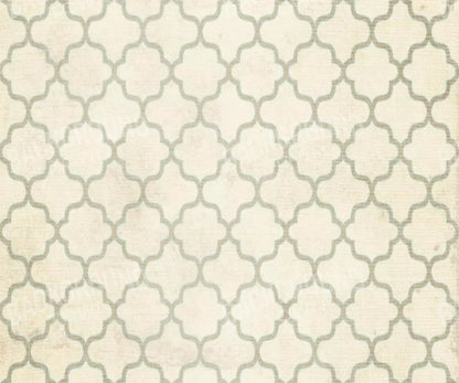 Boutique 5X42 Fleece ( 60 X 50 Inch ) Backdrop