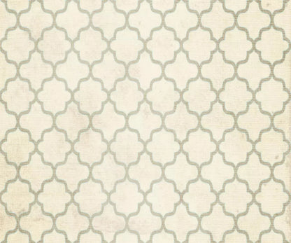 Boutique 5X42 Fleece ( 60 X 50 Inch ) Backdrop
