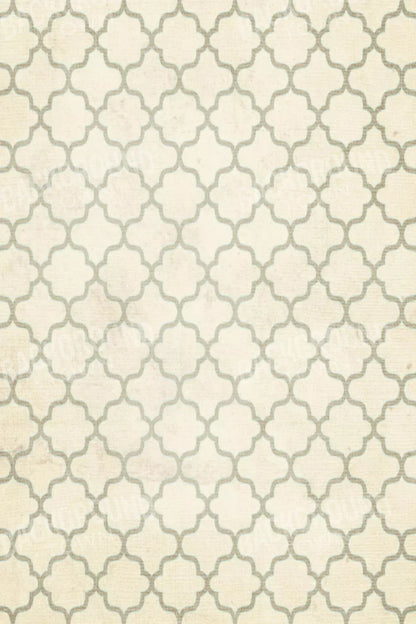 Boutique 5X8 Ultracloth ( 60 X 96 Inch ) Backdrop