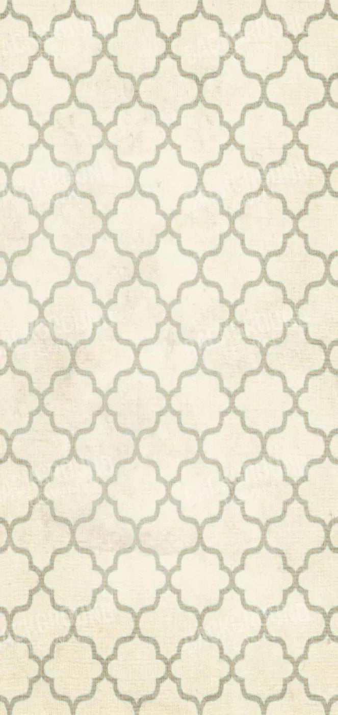 Boutique 8X16 Ultracloth ( 96 X 192 Inch ) Backdrop