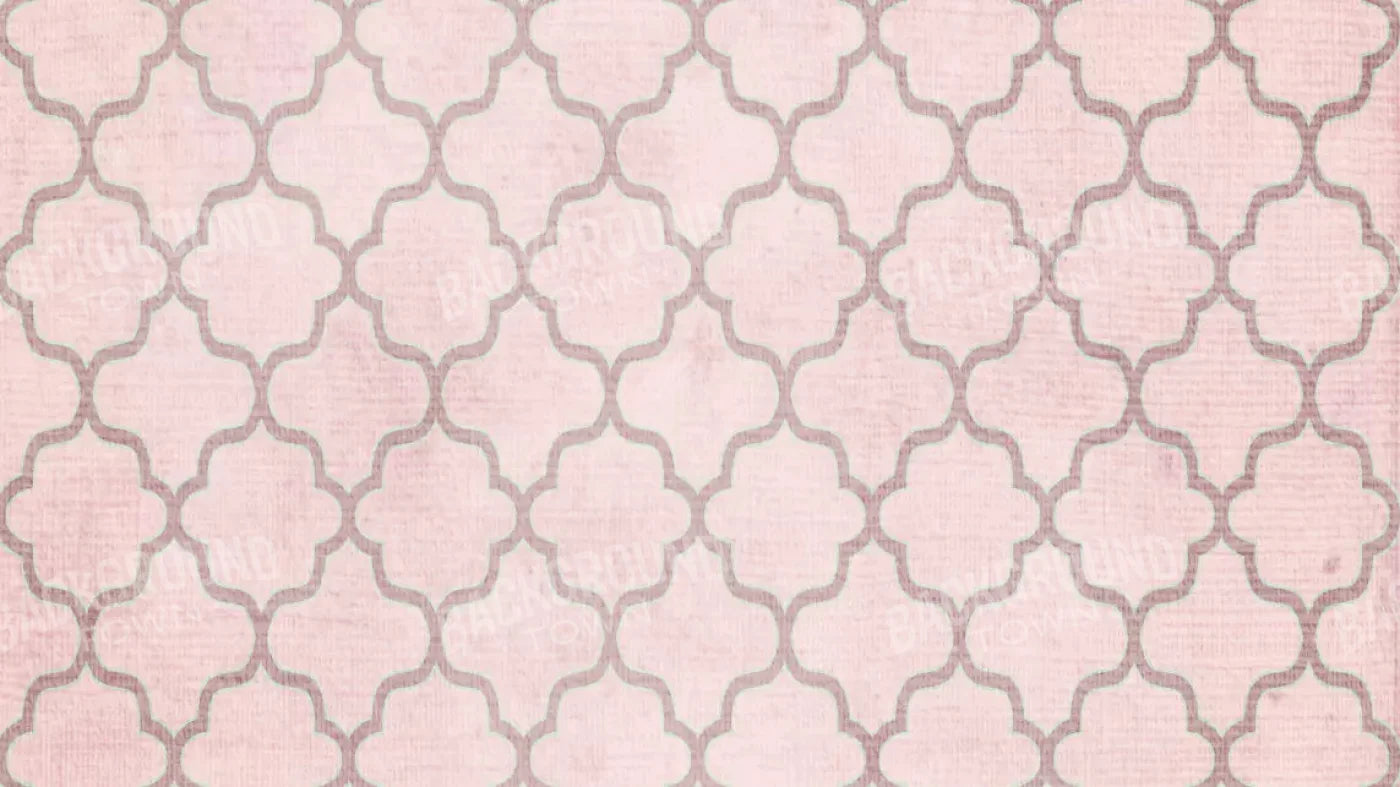 Boutique Pink 14X8 Ultracloth ( 168 X 96 Inch ) Backdrop