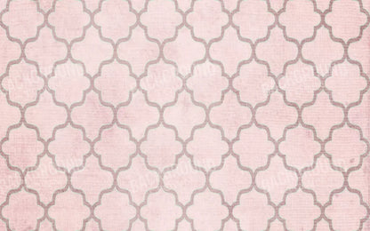 Boutique Pink 14X9 Ultracloth ( 168 X 108 Inch ) Backdrop