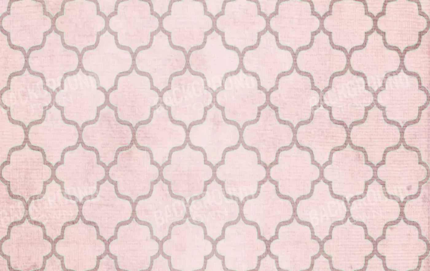 Boutique Pink 16X10 Ultracloth ( 192 X 120 Inch ) Backdrop