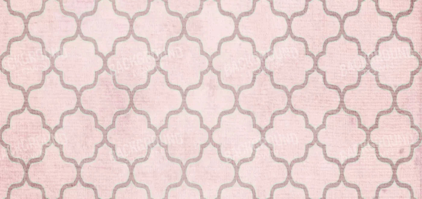 Boutique Pink 16X8 Ultracloth ( 192 X 96 Inch ) Backdrop