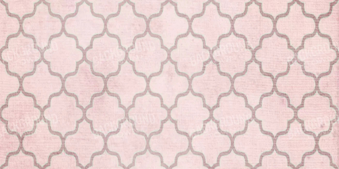 Boutique Pink 20X10 Ultracloth ( 240 X 120 Inch ) Backdrop