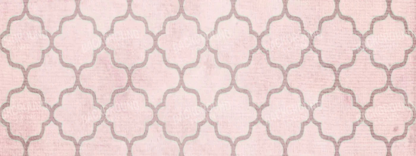 Boutique Pink 20X8 Ultracloth ( 240 X 96 Inch ) Backdrop