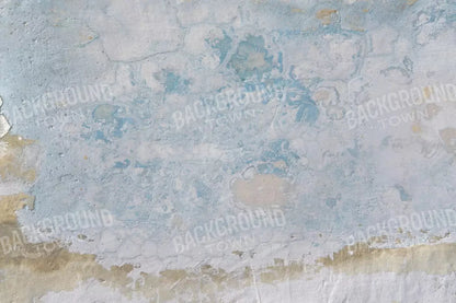 Boyce 8X5 Ultracloth ( 96 X 60 Inch ) Backdrop