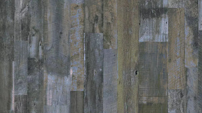 Boys Room 14X8 Ultracloth ( 168 X 96 Inch ) Backdrop