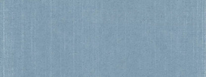 Bracken 20X8 Ultracloth ( 240 X 96 Inch ) Backdrop