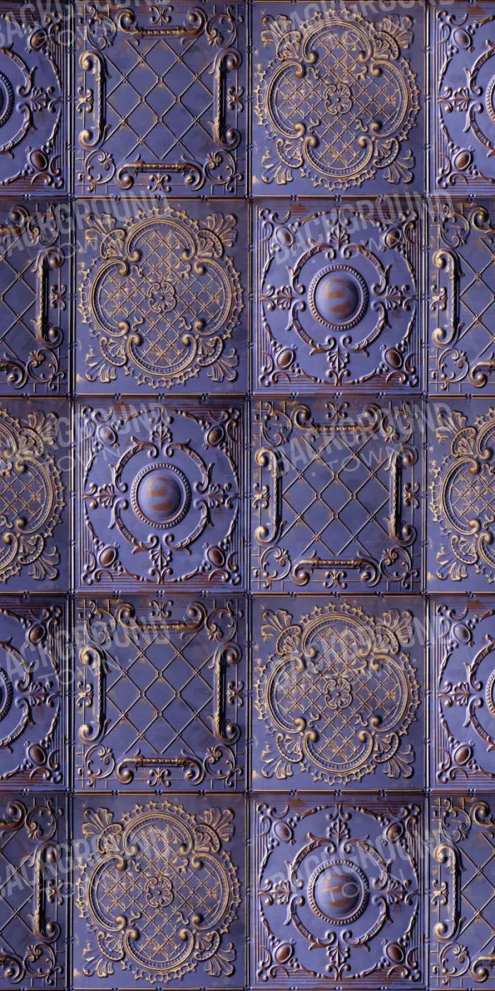 Braden 10X20 Ultracloth ( 120 X 240 Inch ) Backdrop