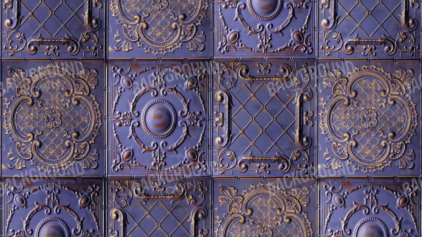 Braden 14X8 Ultracloth ( 168 X 96 Inch ) Backdrop