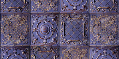 Braden 20X10 Ultracloth ( 240 X 120 Inch ) Backdrop