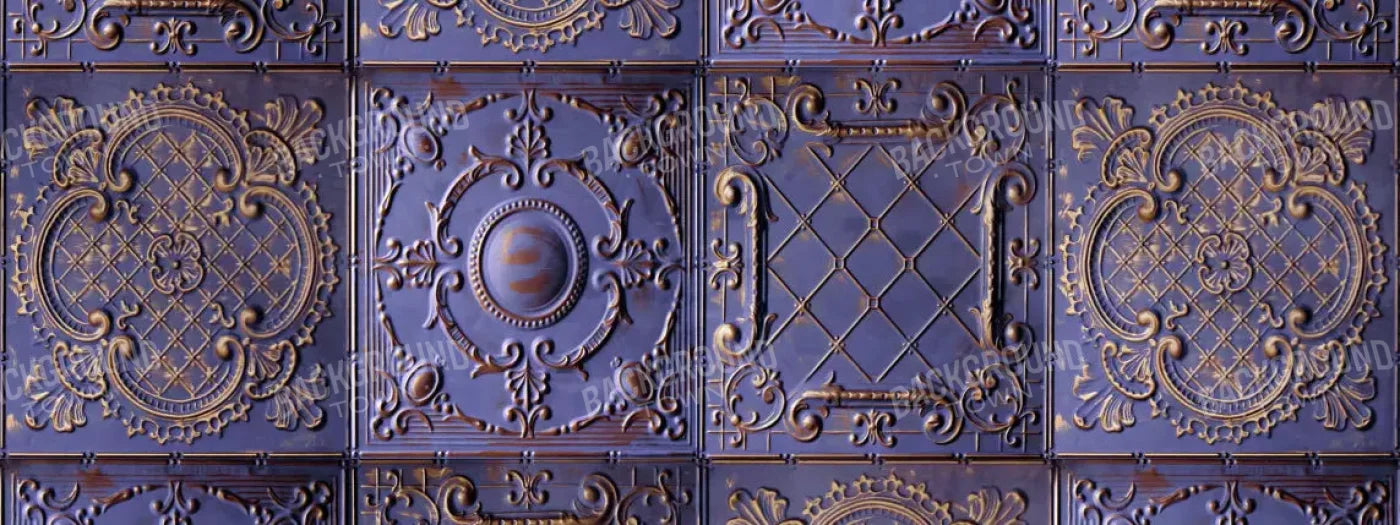 Braden 20X8 Ultracloth ( 240 X 96 Inch ) Backdrop