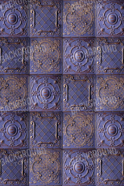 Braden 5X8 Ultracloth ( 60 X 96 Inch ) Backdrop