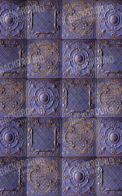 Braden 9X14 Ultracloth ( 108 X 168 Inch ) Backdrop