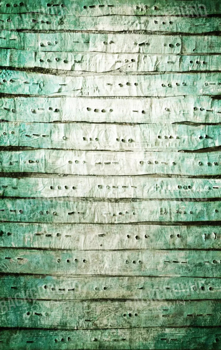 Braille 10X16 Ultracloth ( 120 X 192 Inch ) Backdrop