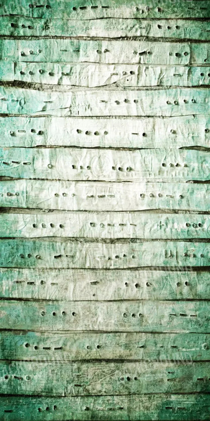 Braille 10X20 Ultracloth ( 120 X 240 Inch ) Backdrop