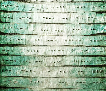 Braille 12X10 Ultracloth ( 144 X 120 Inch ) Backdrop