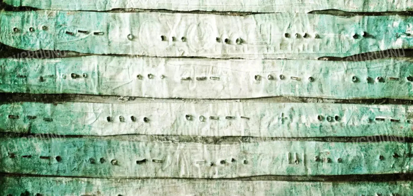 Braille 16X8 Ultracloth ( 192 X 96 Inch ) Backdrop