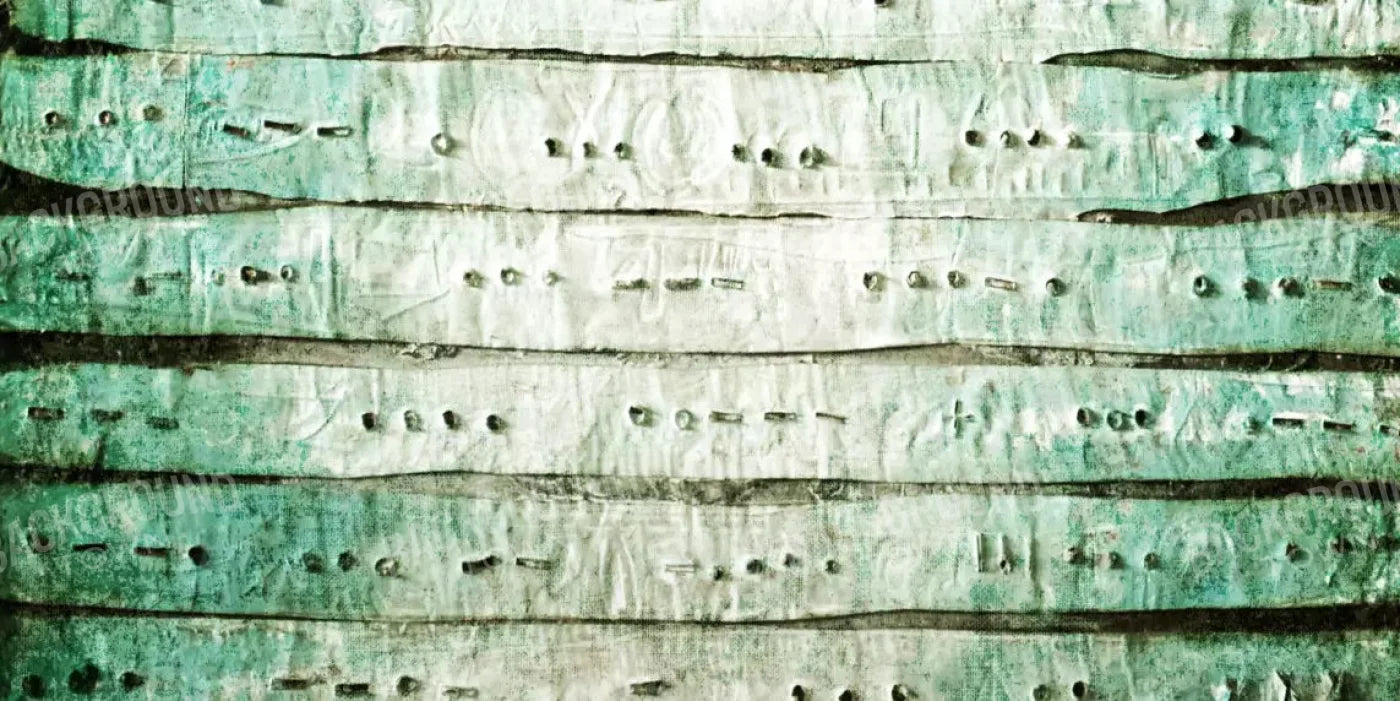 Braille 20X10 Ultracloth ( 240 X 120 Inch ) Backdrop