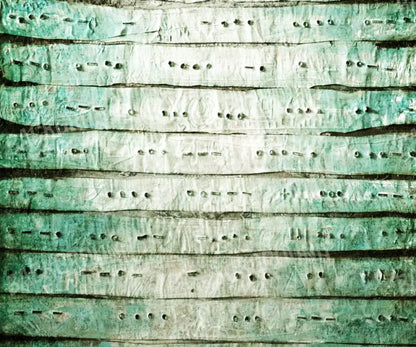 Braille 5X42 Fleece ( 60 X 50 Inch ) Backdrop