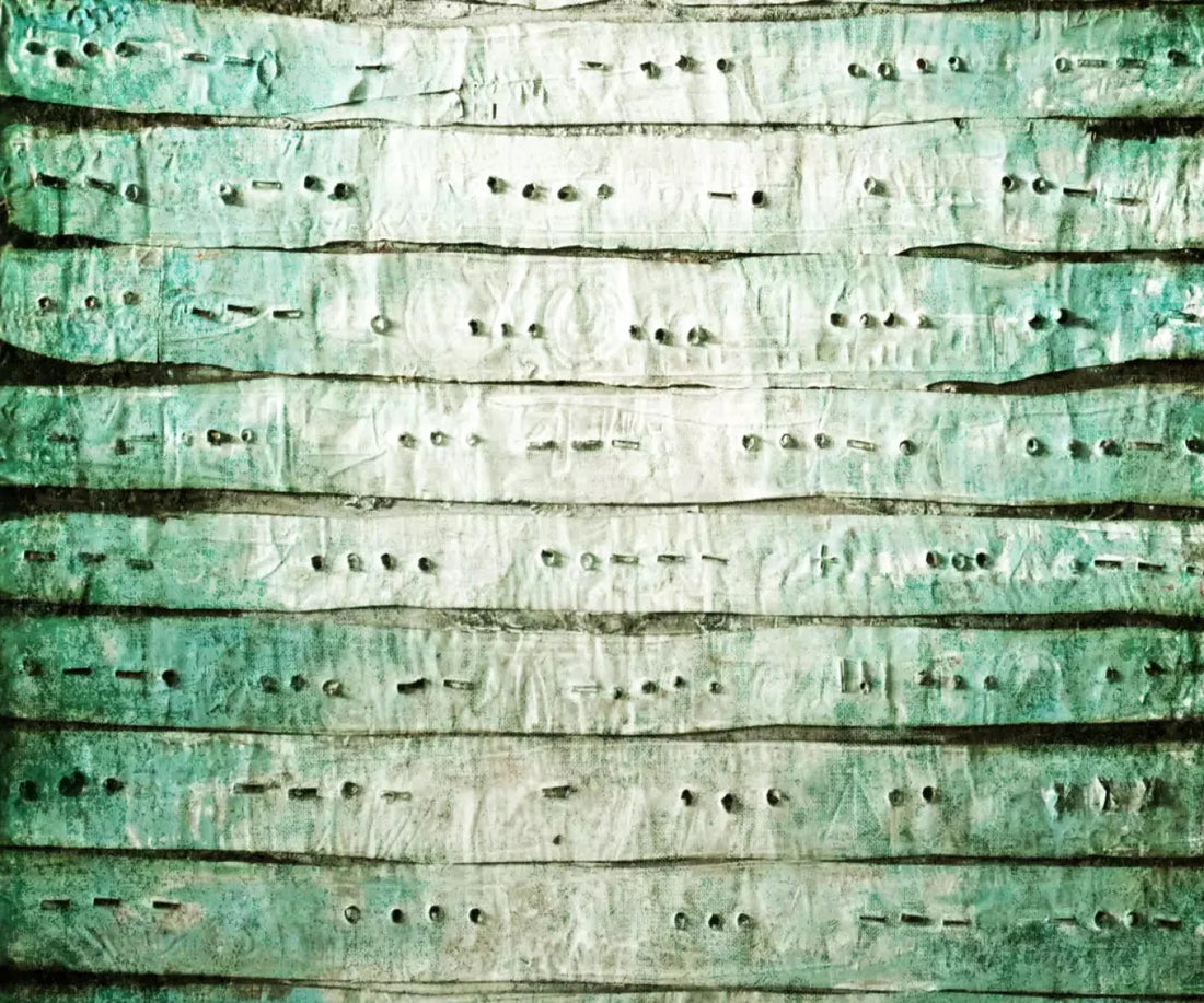 Braille 5X42 Fleece ( 60 X 50 Inch ) Backdrop