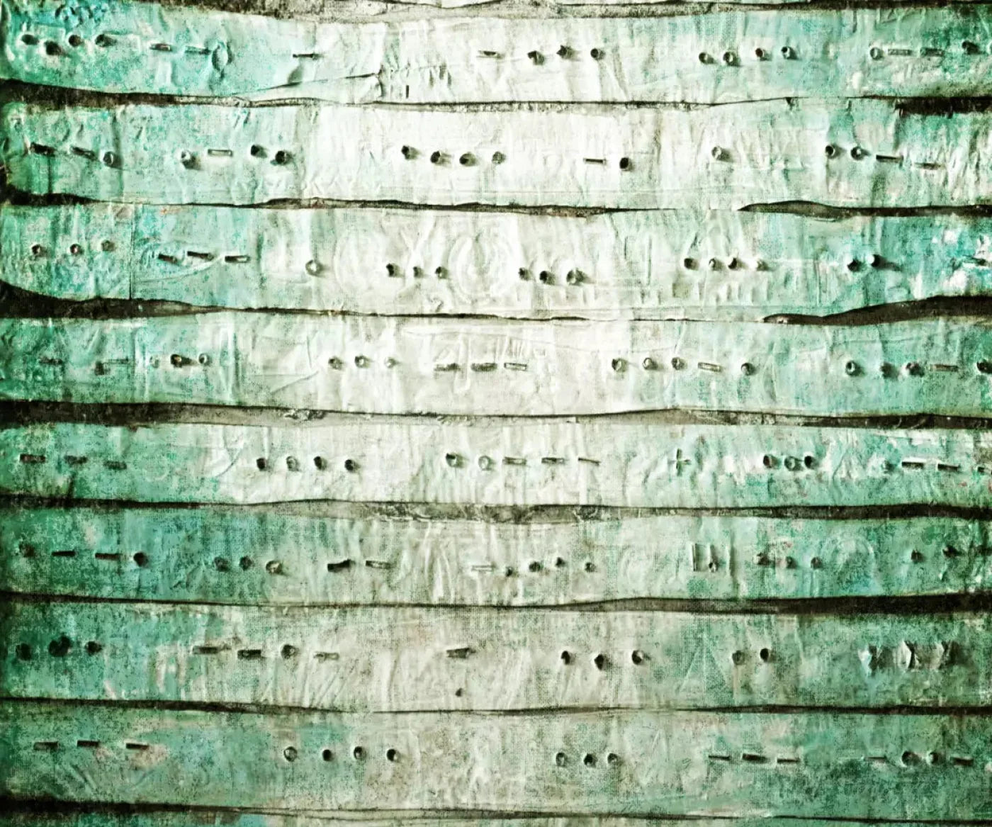 Braille 5X42 Fleece ( 60 X 50 Inch ) Backdrop
