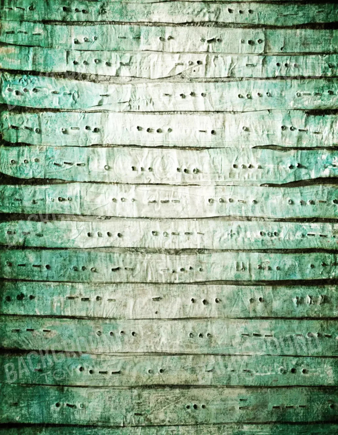 Braille 6X8 Fleece ( 72 X 96 Inch ) Backdrop