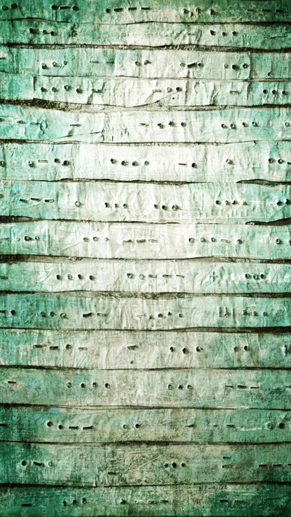 Braille 8X14 Ultracloth ( 96 X 168 Inch ) Backdrop