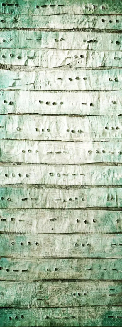 Braille 8X20 Ultracloth ( 96 X 240 Inch ) Backdrop