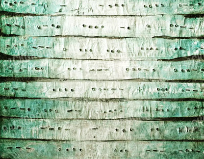 Braille 8X6 Fleece ( 96 X 72 Inch ) Backdrop