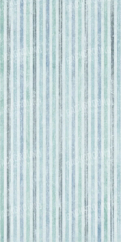 Braxton 10X20 Ultracloth ( 120 X 240 Inch ) Backdrop