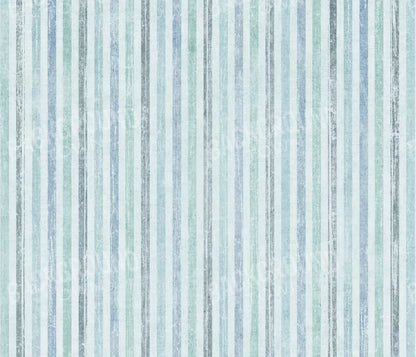 Braxton 12X10 Ultracloth ( 144 X 120 Inch ) Backdrop