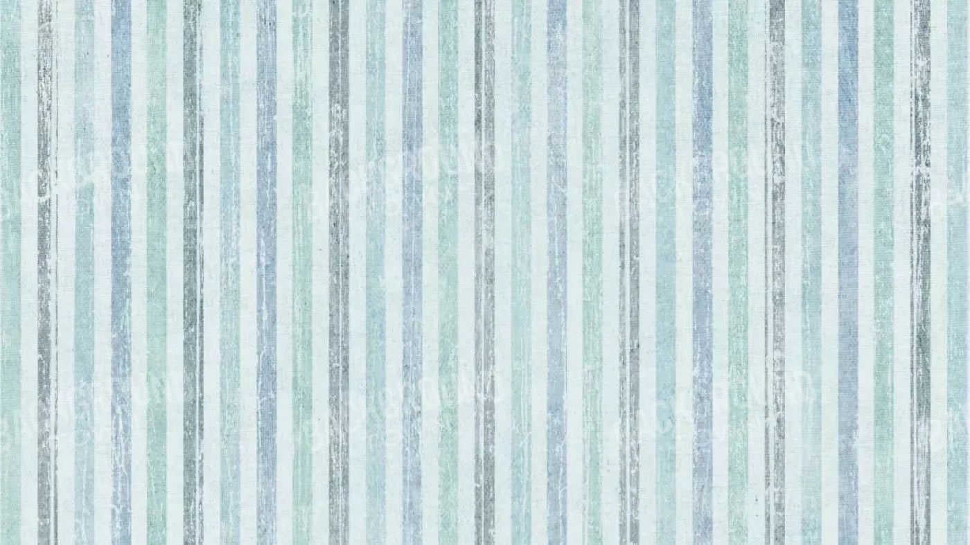 Braxton 14X8 Ultracloth ( 168 X 96 Inch ) Backdrop